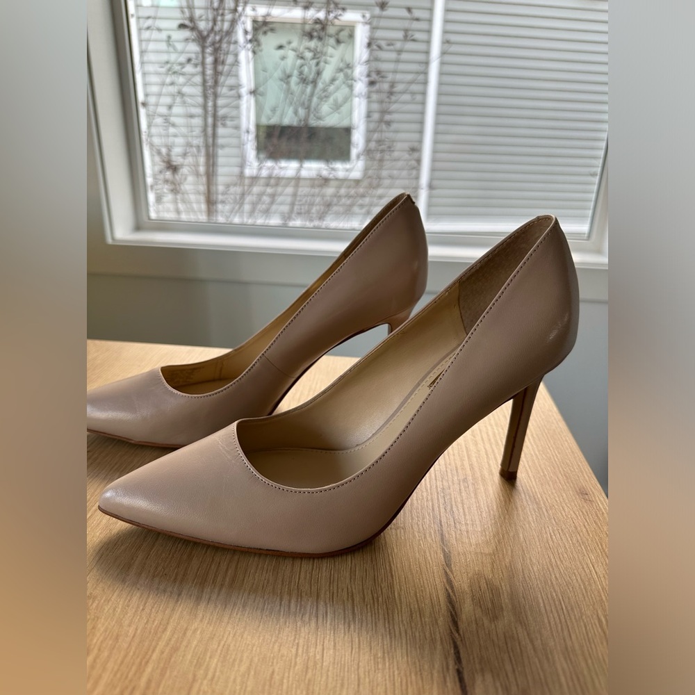 Classic Women's Pointed Toe High Heels in Nude